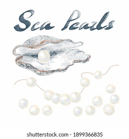 Set of sea pearls. An open seashell with a piece of jewelry, a string with pearls, beads separately isolated on a white background. Hand-drawn sketch.