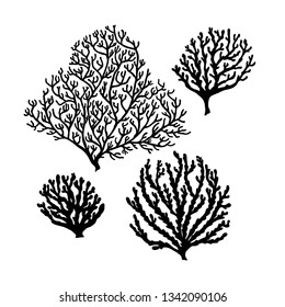 Set of Sea reef corals black silhouette isolated on white background.
