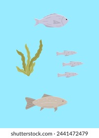 Set of sea or river fish and algae. Vector illustration dorado carp, a school of fish, blue background.