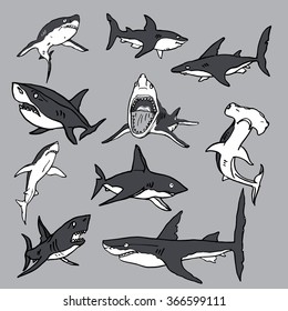 Set of sea sharks, EPS vector for T-shirts and Logo design.
