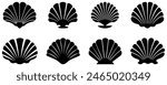 Set of sea shell icons. Vector illustration isolated on white background
