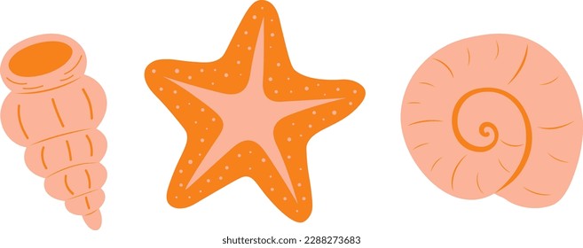 Set Sea shell snail clam vector illustration