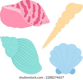 Set sea shell snail clam vector illustration