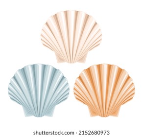 Conjunto de conchas de mar en clipart de diseño plano