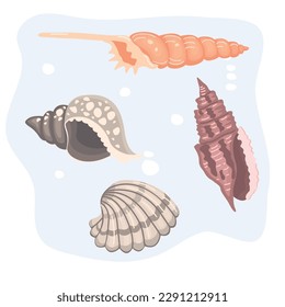 Set of sea shells in color. Four types of molluscs on a blue background.Sea inhabitants in cartoon style. Print on fabric and paper.Vector flat style isolated  illustration.