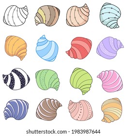 Satz Muscheln in verschiedenen Farben einzeln auf weißem Hintergrund, Vektorgrafik im Cartoon-Stil
