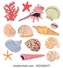 Set of sea shells isolated on a white background. Vector graphics.