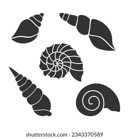 Set of sea shells isolated on white background.
