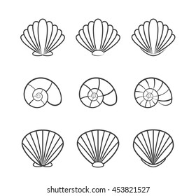 Set of sea shells isolated on a white background