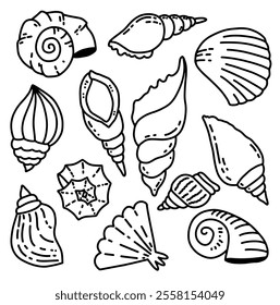 Set of sea shells. Marine and oceania illustration. Vector hand drawn illustration