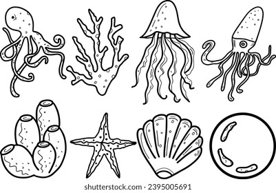 Conjunto de conchas marinas, moluscos, pulpos, corales, calamares. Ilustración plana moderna de conchas marinas aisladas en fondo blanco.