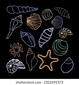 Conjunto de conchas marinas sobre fondo negro. Ilustración vectorial plana.