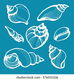 Set with sea shells on a blue background. Vector illustration