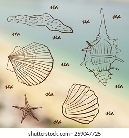 set of sea shells on the sea blurred background vector illustration