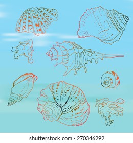 set of sea shells on the sea blurred background vector illustration
