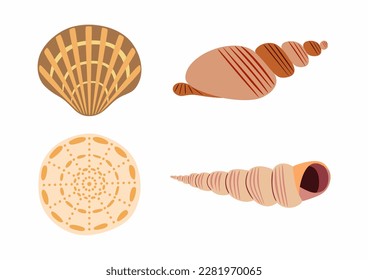 Set of sea shells on white background. Flat vector illustration.