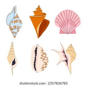 Set of sea shells. Pack of seafood. Animal wildlife and underwater world. Sea life and marine objects. Biology and fauna. Cartoon flat vector collection isolated on white background