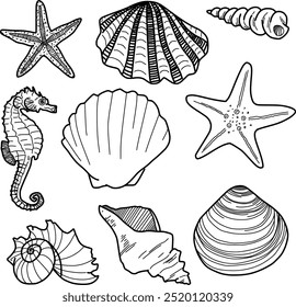 conjunto de conchas do mar, estrelas-do-mar e cavalos-marinhos. imagem da concha do mar com contorno preto. ícone do mar minimalista