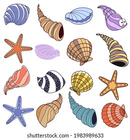 Set of sea shells and starfishes of different colors isolated on white background, vector illustration in cartoon style