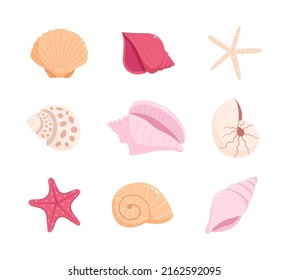 Conjunto de conchas marinas y peces estrellas. Ilustración vectorial plana aislada en fondo blanco