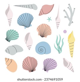 Set of sea shells. Tropical underwater shells. Sea mollusks, scallop, pearls. Vector illustration.