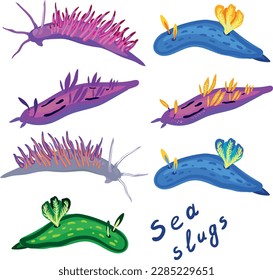 Set of sea slugs isolated on white background.	Aeolid nudibranchs and dorid nudibranchs.