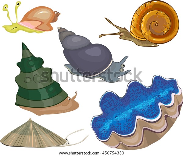 Set of sea\
snails\
