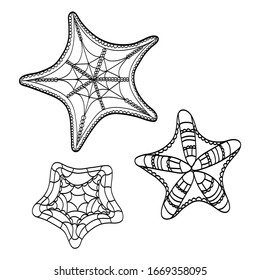 Set of sea stars for coloring. Isolated element for decor