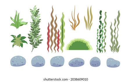 Set of sea stones, corals, algae. Underwater world. Aquarium or pond. Summer water. Isolated on white background. Illustration in cartoon style. Flat design. Vector art.