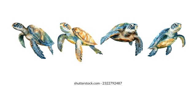 Set of sea turtle watercolor isolated on white background. Ocean animal painting vector illustration