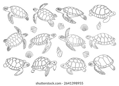 Set of sea turtles isolated on white background. Collection of sea turtles and shells. Hand drawn illustration.