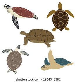 Set of sea turtles. Vector illustration.