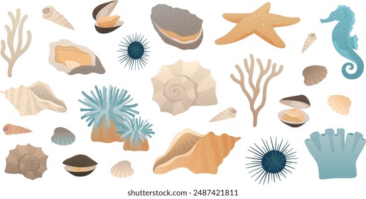 Set of sea underwater elements Shells seahorse clams starfish oysters sea anemone corals isolated