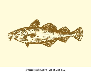 set of seafood Cod Fish handdrawn illustration
