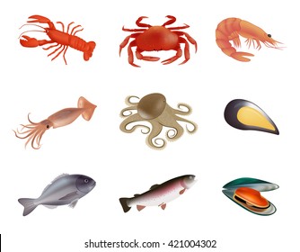 Set seafood color icon on white background. Vector Illustration