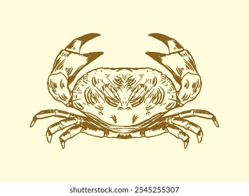 set of seafood Crab handdrawn illustration