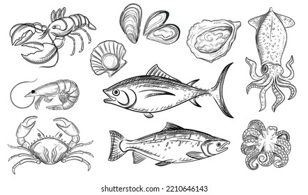 Set of seafood delicacy vector illustration on white background