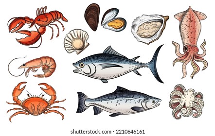 Set of seafood delicacy vector illustration on white background