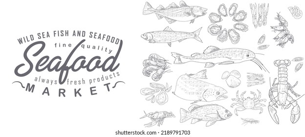 A set of seafood in an engraved style. Vintage fish market design. A frame for advertising a fish products store.