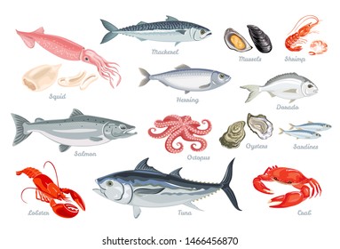 Set of seafood. Fish, mollusks and crustaceans. Vector illustration of sardines, mackerel, salmon, tuna, herring and dorado in cartoon flat style.
Octopus, shrimp, oyster, mussel, squid, lobster.