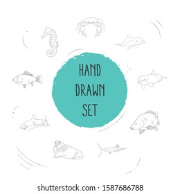 Set of seafood icons line style symbols with crucian, atlantic bottlenose dolphin, sea horse and other icons for your web mobile app logo design.