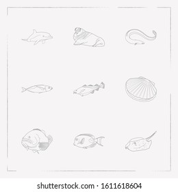 Set of seafood icons line style symbols with atlantic bottlenose dolphin, cod fish, flatfish and other icons for your web mobile app logo design.