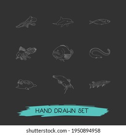 Set of seafood icons line style symbols with octopus, scad, pike fish and other icons for your web mobile app logo design.