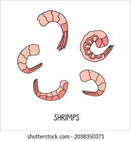 Set of seafood illustrations. Pink shrimps doodle illustration isolated on a white background. Delicious seafood. Perfect for menu decoration