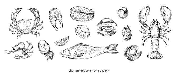 Set of seafood objects. Hand drawn illustrations converted to vector