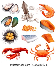 Set of seafood on white background illustration
