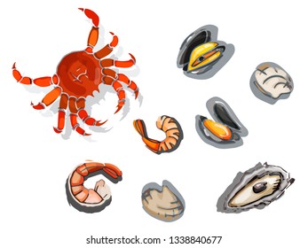 Set of seafood on a white background. Drawn by hand. Crab, mussels, shrimp, oyster, shells, vongole color illustration.
