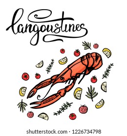 A set of seafood, restaurant design, menu design, lobster, langoustine. Illustration, vector