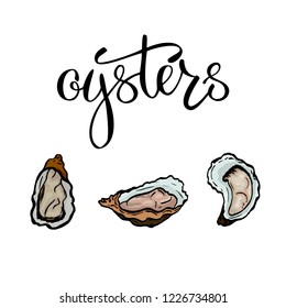 A set of seafood, restaurant design, menu design, fish, clams, oysters, mussels. Illustration, vector
