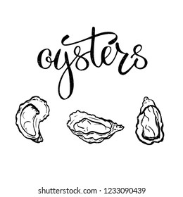 A set of seafood, restaurant design, menu design, fish, clams, oysters, mussels. Illustration, lettering, vector